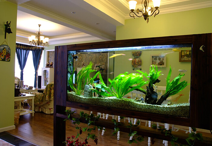 家庭養(yǎng)魚風(fēng)水，居家風(fēng)水魚缸的擺放